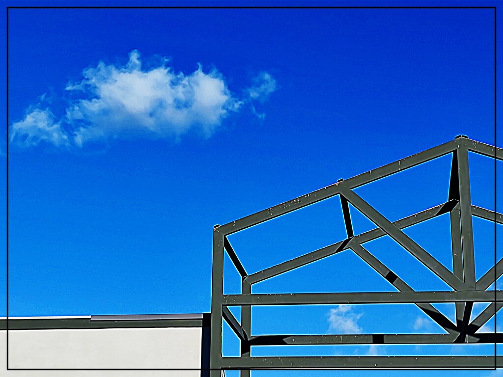 November Blue by olivetreeann