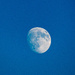 Moon Sunday evening
