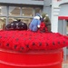 Pillar box poppies