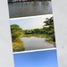 Google’s choice: water bodies 
