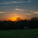 Sunset over the trees...