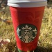 Red Cup Season