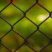Behind The Fence