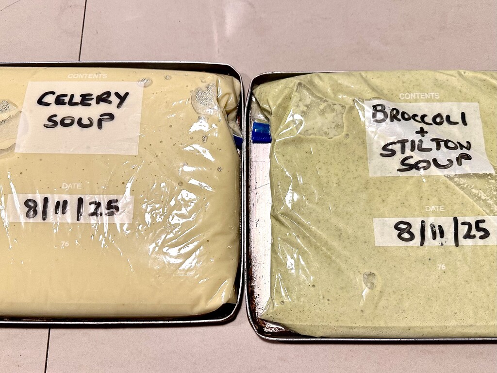 Filling The Freezer by leonieruth