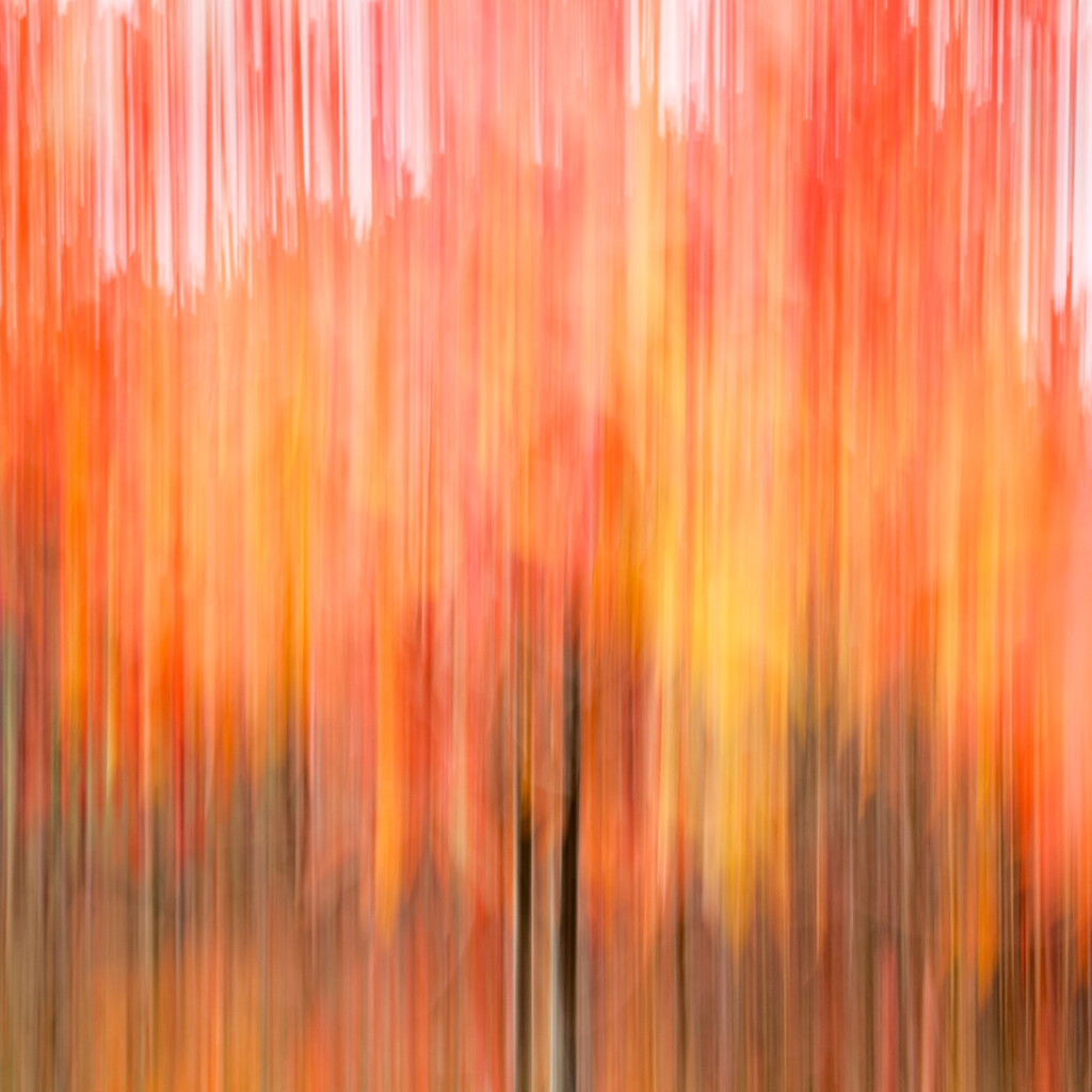 ICM by jmg232