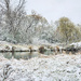 Snowy river