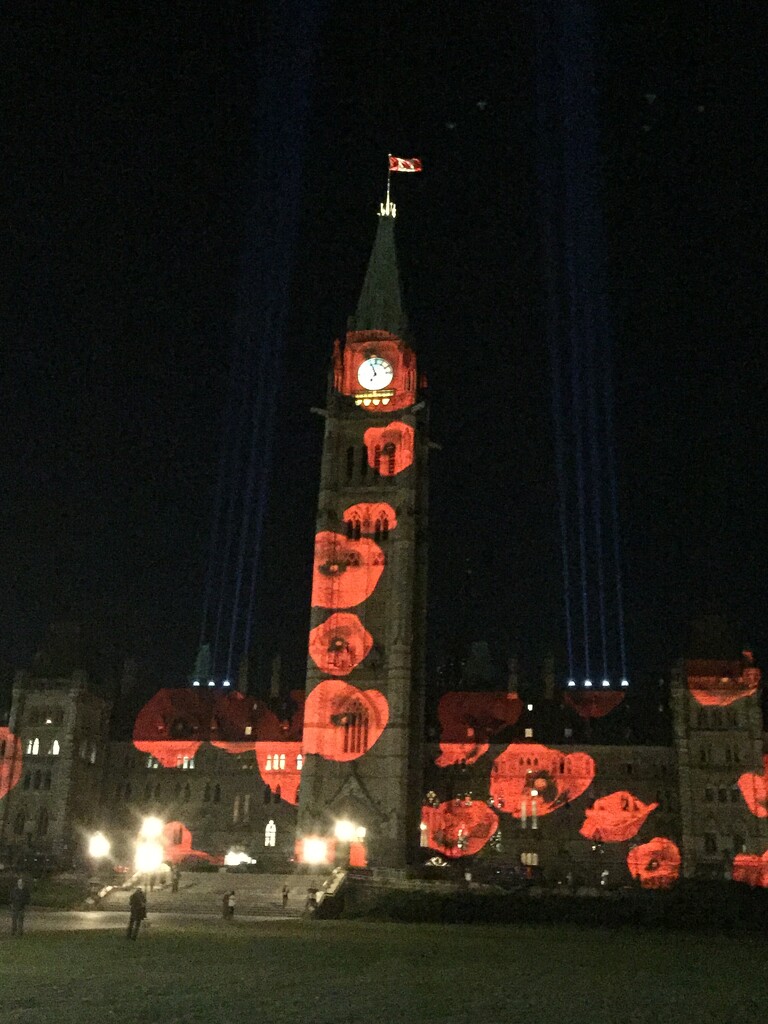 Remembrance Day by jane80