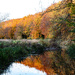 Autumn Reflections