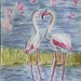 Flamingos 