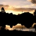 Sunset at the pond