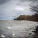 Lake Ontario shore