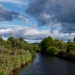 Waiorohi Stream, Greerton Park