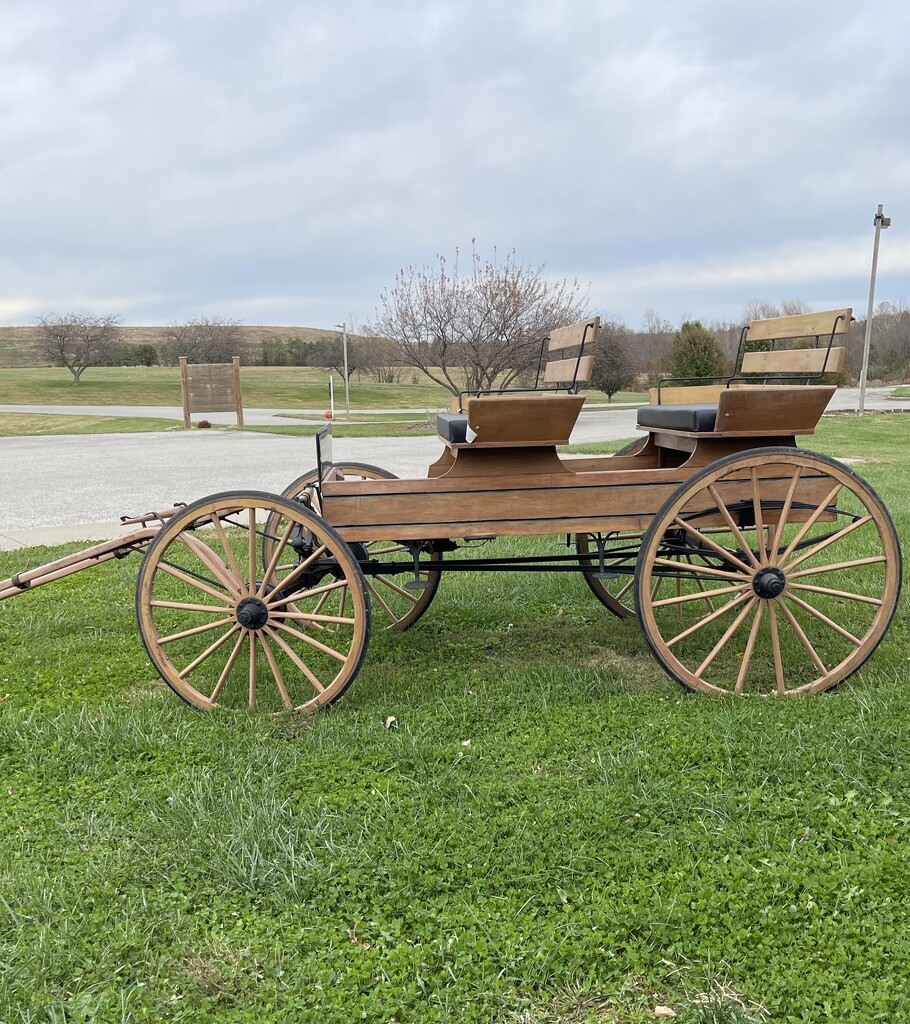 A beautiful carriage crafted by our neighboring Amish community. by essiesue