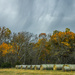 Haybales and the Remnants of Autumn