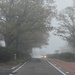 Misty morning