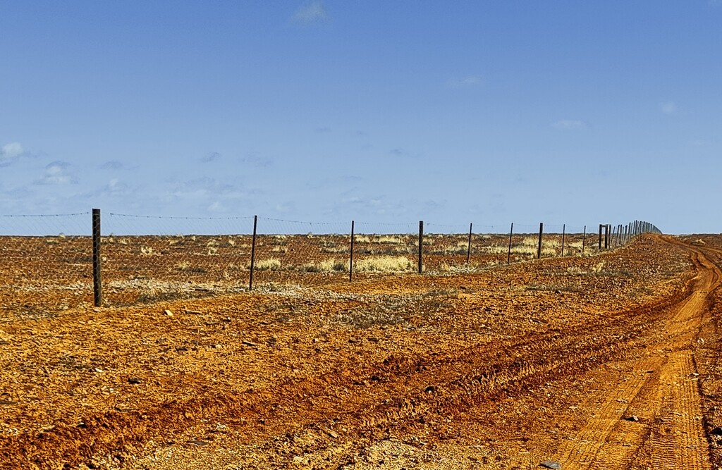 The Dog Fence by mindos