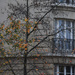 autumn in Paris
