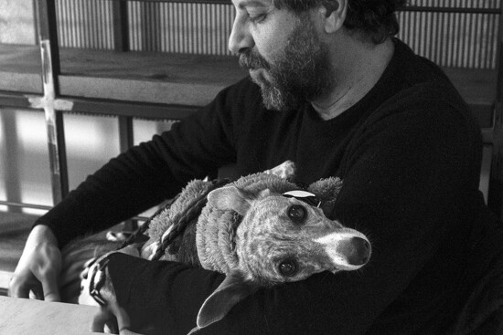 The sad whippet and his sitter  by caterina