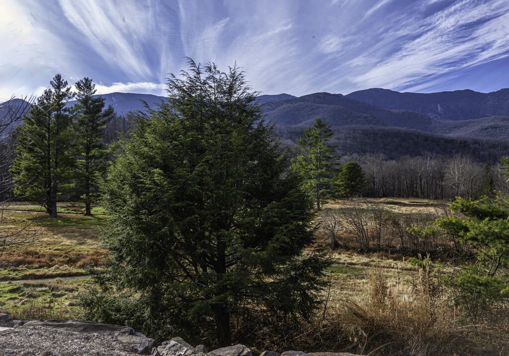 Beautiful Landscape view from my daughters condo by myhrhelper