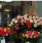 7th Feb 2011 - Florist