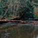 Holland Creek 