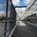 Leading lines!