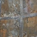 cropped