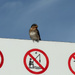 Paying attention to the signs