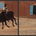Bullock Rider, Burkina Faso by miranda