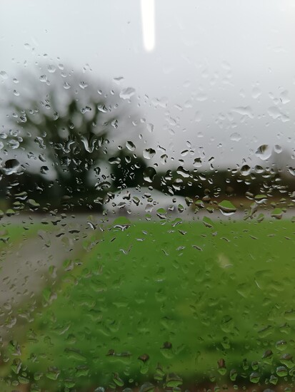 (A) Typical weather  by overalvandaan