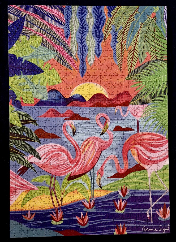 Flamants Roses by kjarn
