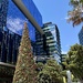 Parramatta