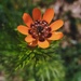 IMG_20250525_141931