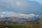 7th Jan 2026 - The snow has arrived