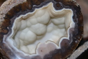14th Jan 2026 - Stone