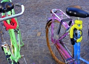 8th Feb 2011 - Colourful bikes