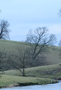 18th Jan 2026 - A wet winter day