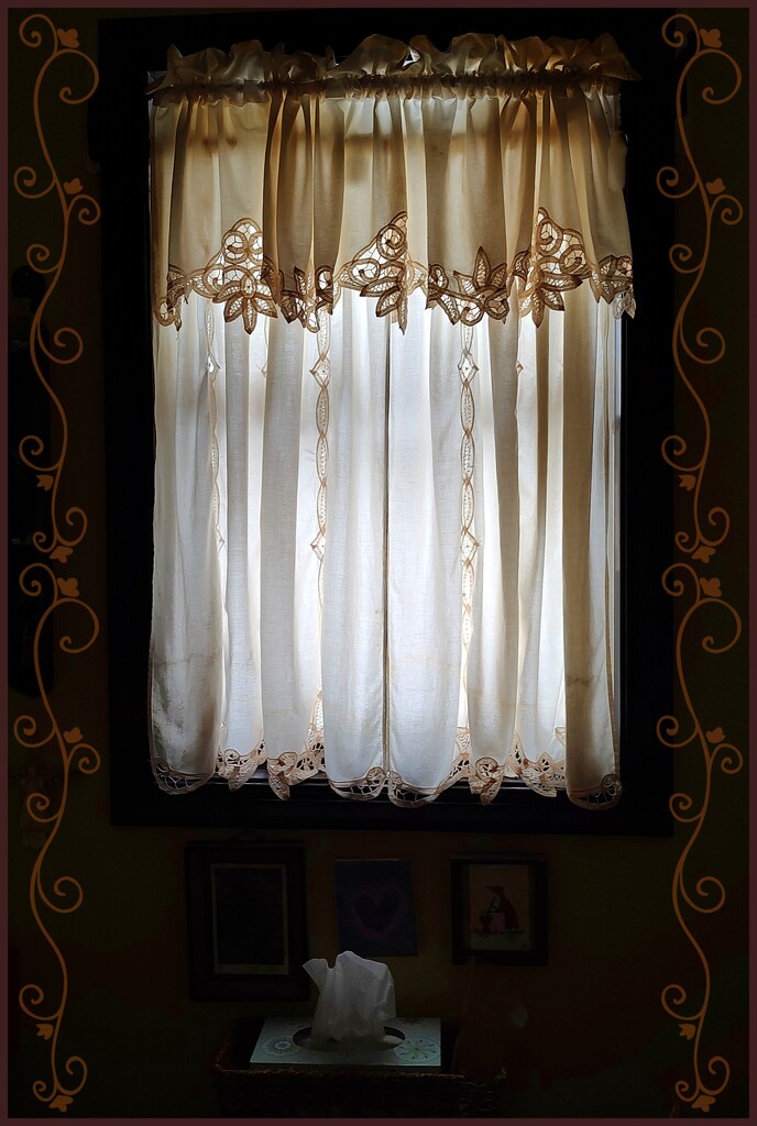 52 Week Challenge Week 5 Shadows and Silhouettes by olivetreeann