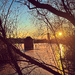 43/365: Sunset