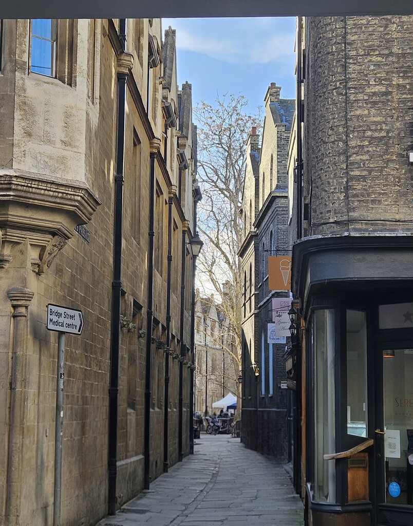 Cambridge in the sun by magsbibby