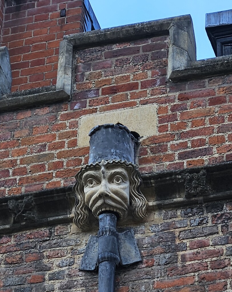 Faces of Cambridge by magsbibby