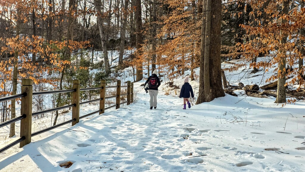 Home through the snowy woods by librarymom