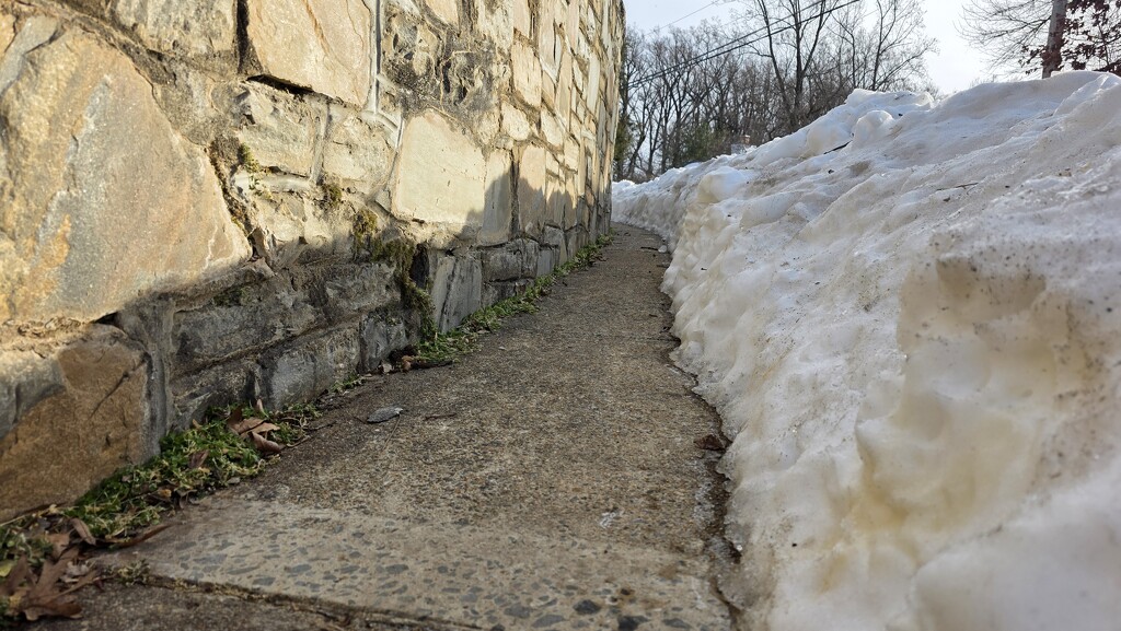 Between a rock in a hard place by librarymom