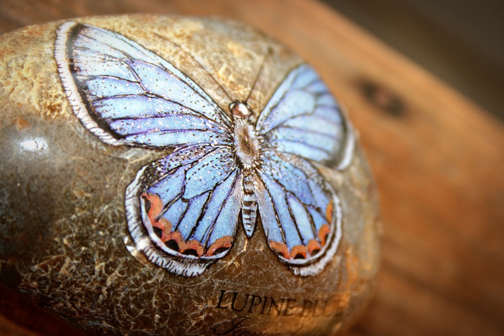 Butterfly stone by corymbia