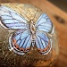 Butterfly stone by corymbia