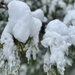 52Frames: shallow DOF