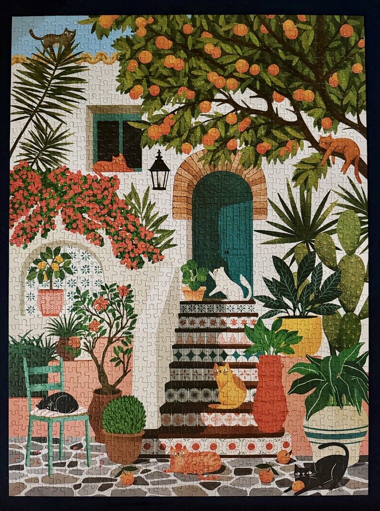 Mediterranean Cats by kjarn