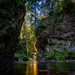 Stream Salvage