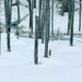 Sapporo Area Adventures 