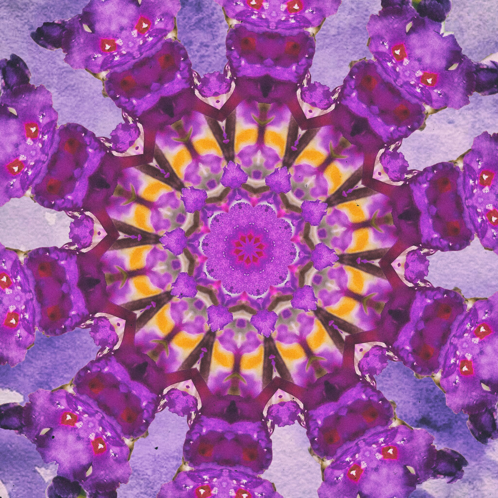Violet 1 by annied